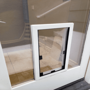 Pet doors for glass