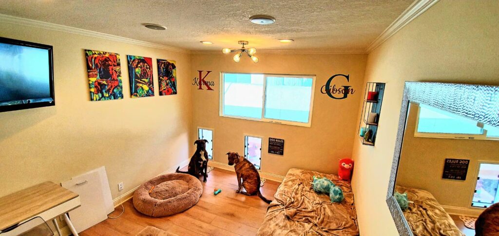 Living room with two pet doors in walls for two large dogs