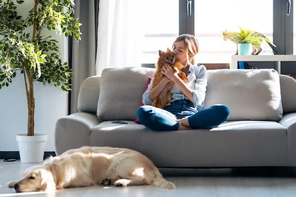 Happy Pet Door Pets